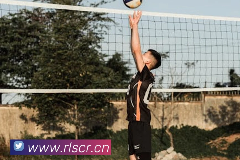 在线足球官网平台生态图